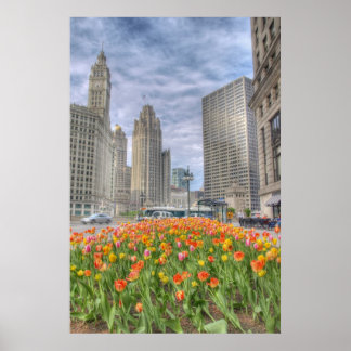 Blommor i Chicago Poster