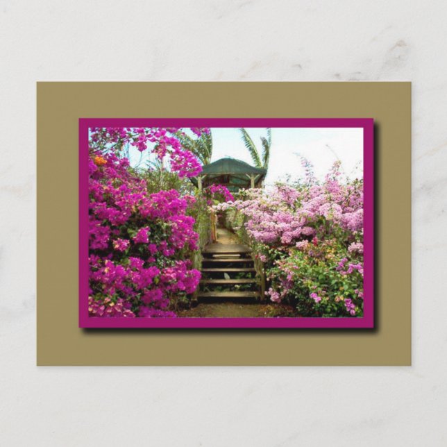 Blommor i Costa Rica 01 Vykort (Framsida)