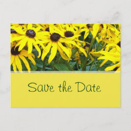 Blommor i den ljusa gulten sommar-daisyn sparar da meddelande vykort