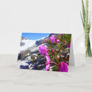 Blommor i det Gilkey diket (tom insida) Kort