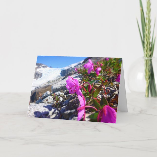 Blommor i det Gilkey diket (tom insida) Kort (Framsida)