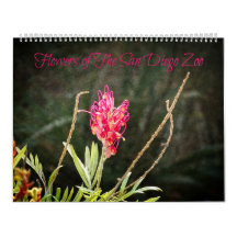 Blommor i djurskalendern San Diego