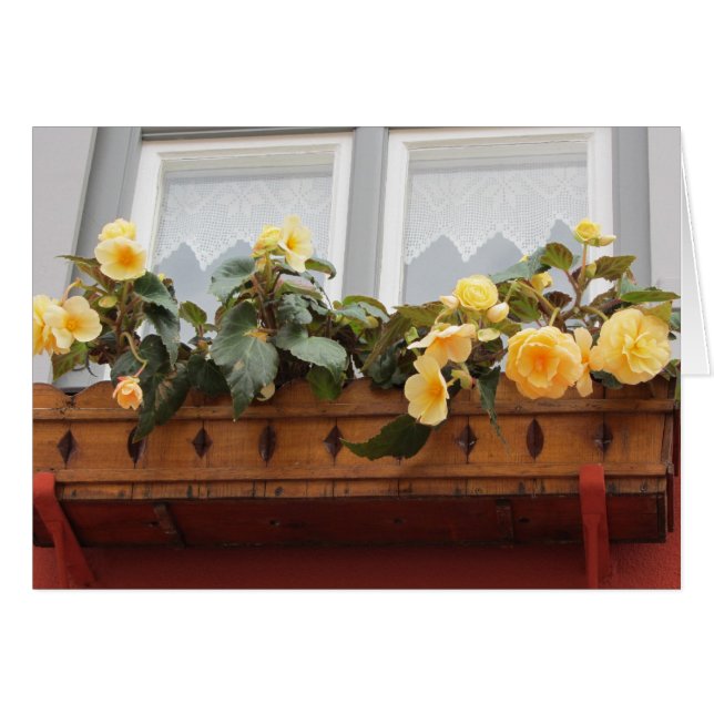 Blommor i en fönsterlåda OBS kort (Framsidan Horizontal)