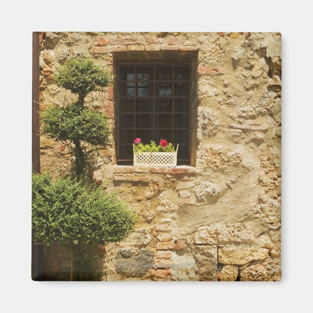 Blommor i en fönsterruta på en fönsterplatta. magnet (Framsidan)