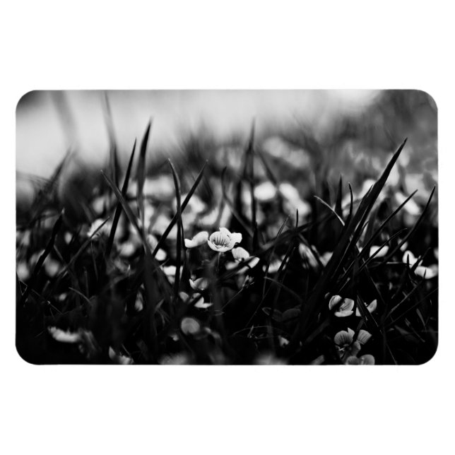Blommor i fält i vår magnet (Horisontell)