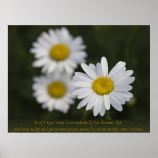 Blommor i Fält Poster