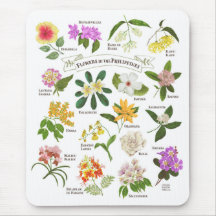 Blommor i Filippinerna