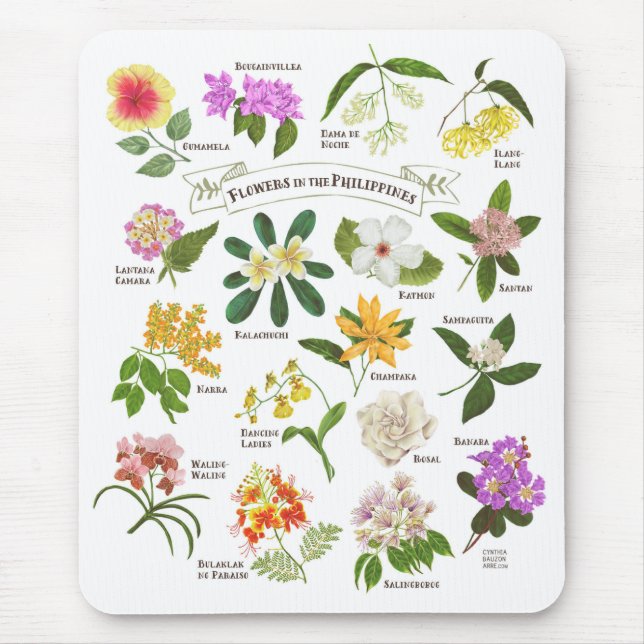 Blommor i Filippinerna Musmatta (Framsidan)