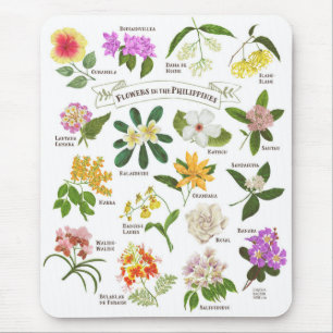 Blommor i Filippinerna Musmatta