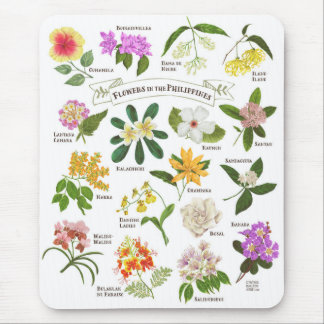 Blommor i Filippinerna Musmatta