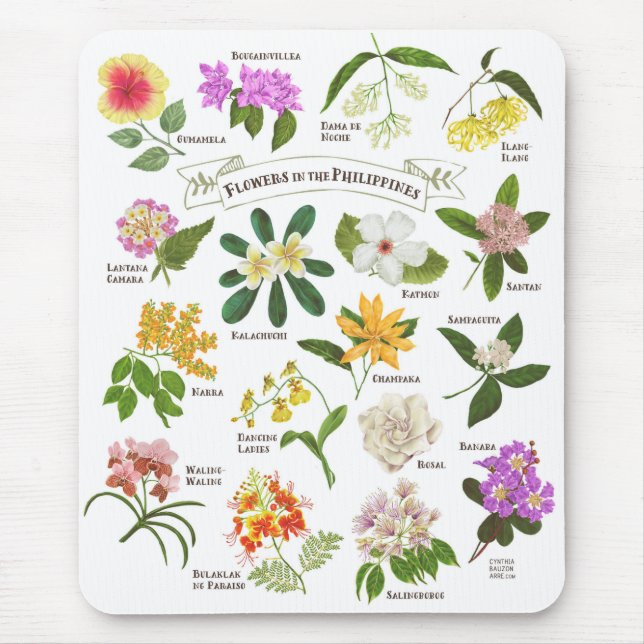 Blommor i Filippinerna Musmatta (Framsidan)