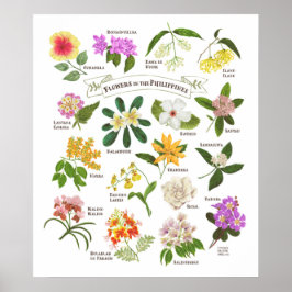 Blommor i Filippinerna Poster