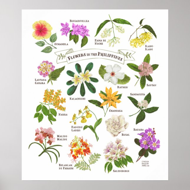 Blommor i Filippinerna Poster (Framsidan)