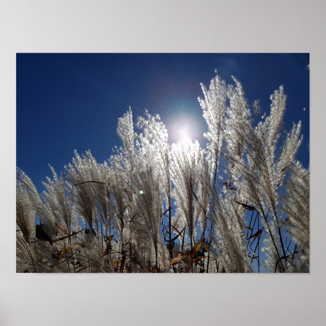 Blommor i fullt poster (Framsidan)