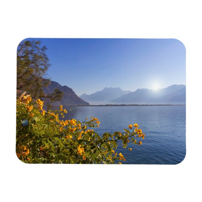 Blommor i Genève sjö, Montreux, Schweiz Magnet (Horisontell)