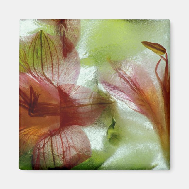 Blommor i is magnet (Framsidan)
