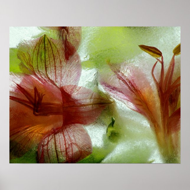 Blommor i is poster (Framsidan)