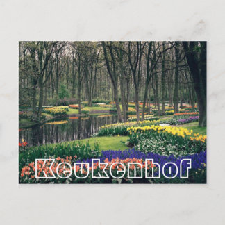 Blommor i Keukenhof, skogsmark och kanaler Vykort