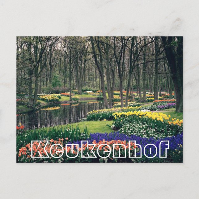 Blommor i Keukenhof, skogsmark och kanaler Vykort (Framsida)