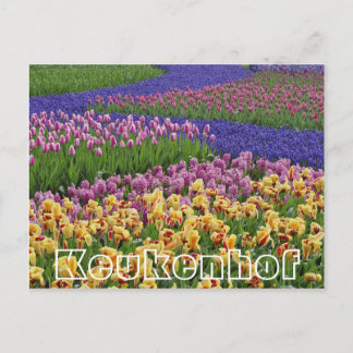 Blommor i Keukenhof, tulpanströmmar Vykort