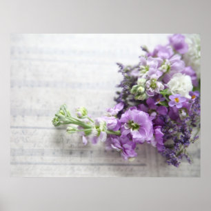 Blommor i lavender-färgaden på gammal musik poster