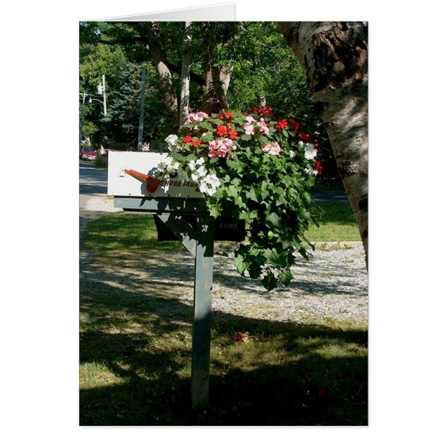 Blommor i Mail Hälsningskort (Framsidan)