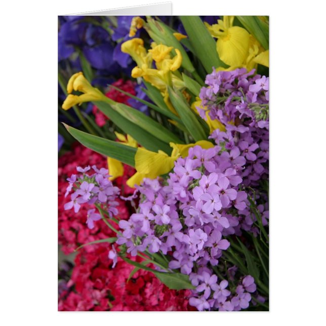 Blommor i Många Färg Hälsningskort (Framsidan)