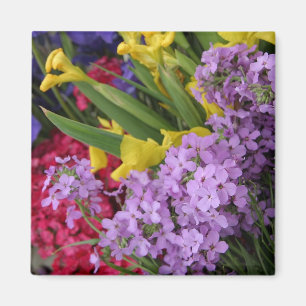Blommor i Många Färg Magnet