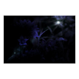 Blommor i Moonlight Perfect Poster