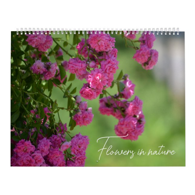 Blommor i naturen kalender (Omslag)