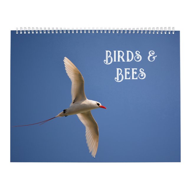 Blommor i naturen kalender (Omslag)