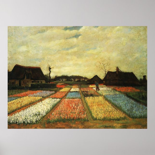 Blommor i Nederländerna Poster (Framsidan)