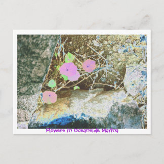 Blommor i Oceanside Marina Vykort