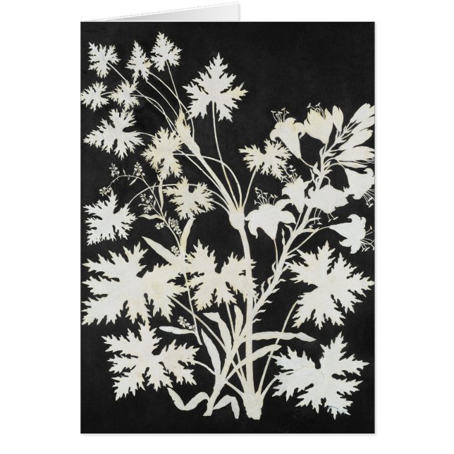 Blommor i Silhouette Hälsningskort (Framsidan)