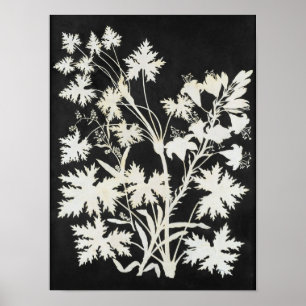 Blommor i Silhouette Poster