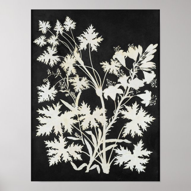 Blommor i Silhouette Poster (Framsidan)