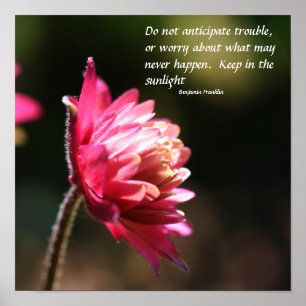 Blommor i Sol Inner Peace Quote inspirationational Poster