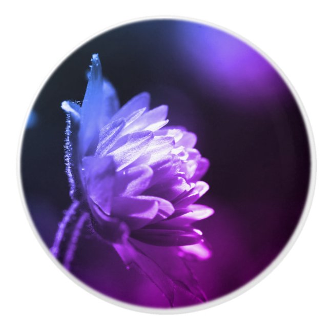 Blommor i solljuset, svart och vit färgton Färg Knopp (Framsidan)