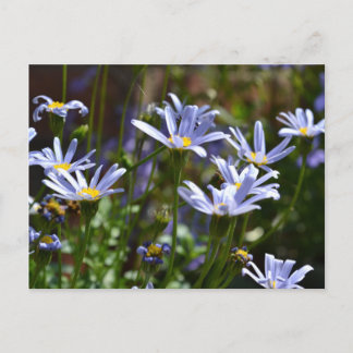 Blommor i solsken vykort