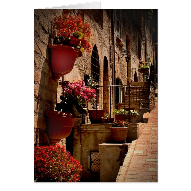 Blommor i Street Assisi Italty Hälsningskort (Framsidan)