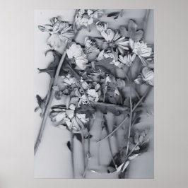 Blommor i svart och vitt poster