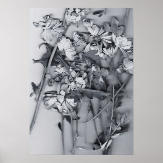 Blommor i svart och vitt poster