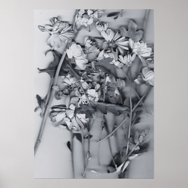 Blommor i svart och vitt poster (Framsidan)