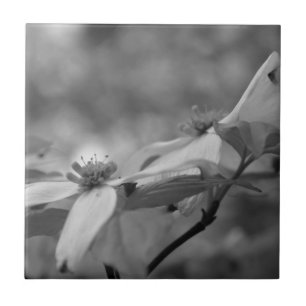 Blommor i svartvitt kakelplatta