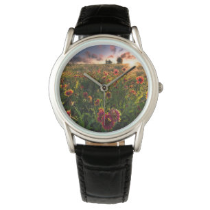 Blommor   Indian Blanket WildblomTexas Armbandsur