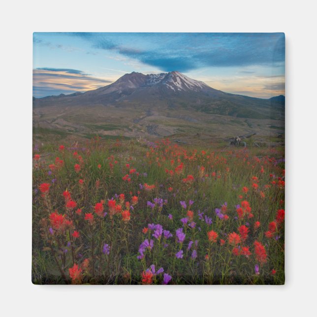 Blommor | Indisk pintbrush & Penstemon Magnet (Framsidan)