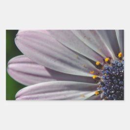 Blommor inom rektangulärt klistermärke