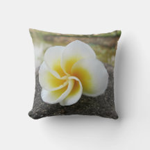 Blommor, insekter, japanska, asiatiska, kinesiska,