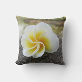 Blommor, insekter, japanska, asiatiska, kinesiska, kudde