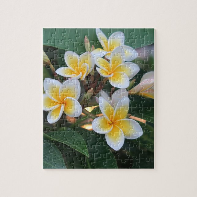 Blommor,japaner,asian,kineser,mode,hälsning ca pussel (Vertikal)